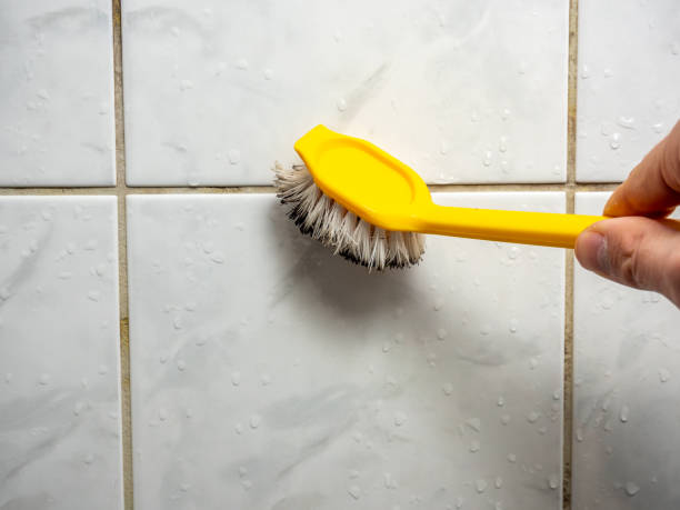 Best Mold Removal Specialists  in Smethport, PA