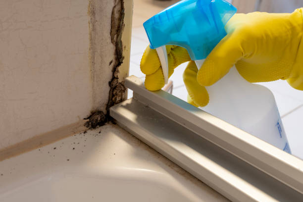 Best Crawl Space Mold Removal  in Smethport, PA