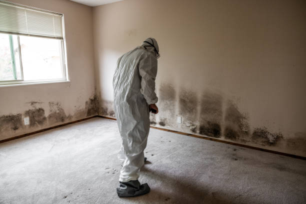 Best Mold Testing  in Smethport, PA